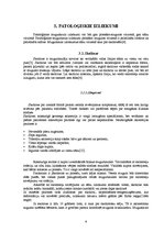 Referāts 'Skolioze un tās korekcijas iespējas', 6.