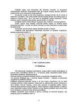 Referāts 'Skolioze un tās korekcijas iespējas', 12.