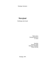 Konspekts 'Starojumu veidi', 1.
