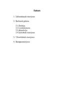 Konspekts 'Starojumu veidi', 2.