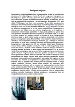 Konspekts 'Starojumu veidi', 9.