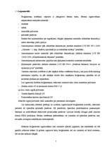 Referāts 'Betona bruģakmens ražošanas tehnoloģiskā projektēšana', 7.