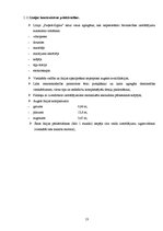 Referāts 'Betona bruģakmens ražošanas tehnoloģiskā projektēšana', 13.