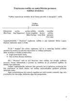 Biznesa plāns 'Kafejnīca "Pavasaris"', 6.