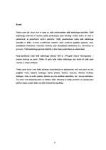 Referāts 'Tiešā pasta reklāmas raksturojums un izmantošanas piemēri', 3.