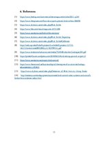 Referāts 'Bird Strike Prevention', 13.