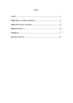 Referāts 'Miega fāzes', 1.