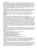 Konspekts 'How Amylase Digests Starch', 1.