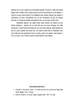 Referāts 'Renē Dekarts un racionālisms', 10.