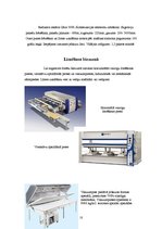 Konspekts 'Sagatavju pirmapstrāde', 10.