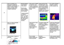 Konspekts 'Tabula "Starojuma veidi"', 2.