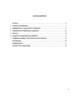 Referāts 'Klientu skaita palielināšanas iespējas uzņēmumā SIA "X"', 2.