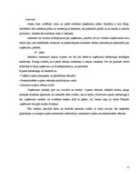 Referāts 'Klientu skaita palielināšanas iespējas uzņēmumā SIA "X"', 15.