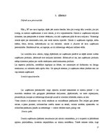 Referāts 'Klientu skaita palielināšanas iespējas uzņēmumā SIA "X"', 17.