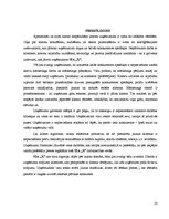 Referāts 'Klientu skaita palielināšanas iespējas uzņēmumā SIA "X"', 23.