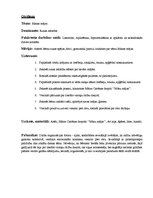 Prakses atskaite 'Pirmsskolas izglītības skolotāja kvalifikācijas prakse', 4.