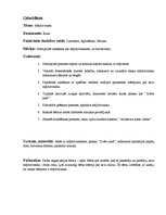 Prakses atskaite 'Pirmsskolas izglītības skolotāja kvalifikācijas prakse', 6.