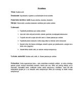 Prakses atskaite 'Pirmsskolas izglītības skolotāja kvalifikācijas prakse', 9.