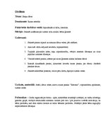 Prakses atskaite 'Pirmsskolas izglītības skolotāja kvalifikācijas prakse', 10.