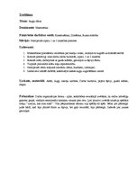 Prakses atskaite 'Pirmsskolas izglītības skolotāja kvalifikācijas prakse', 11.