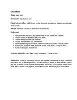 Prakses atskaite 'Pirmsskolas izglītības skolotāja kvalifikācijas prakse', 12.