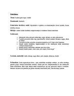 Prakses atskaite 'Pirmsskolas izglītības skolotāja kvalifikācijas prakse', 13.