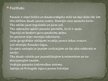 Prezentācija 'Amerigo Vespuči', 10.