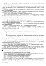 Konspekts 'Postindustriālās sabiedrības attīstība', 6.