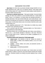 Konspekts 'Subjektu problēma sociālajās teorijās un socioloģijā. Sociālā mainīguma jautājum', 2.