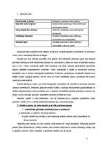 Konspekts 'Subjektu problēma sociālajās teorijās un socioloģijā. Sociālā mainīguma jautājum', 6.