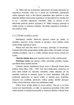 Referāts 'Radiosakaru pārvaldes organizācijas menedžmenta procesa analīze', 9.