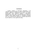 Referāts 'Kalkulētās izmaksas', 8.