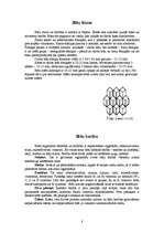 Referāts 'Bites', 8.