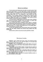 Referāts 'Bites', 9.