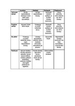 Konspekts 'Projekta risku analīze', 3.