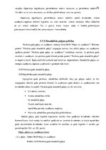 Prakses atskaite 'Prakses atskaite augstskolā', 26.