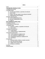 Referāts 'Uzņēmējdarbības dibināšanas brīvības un brīvas pakalpojumu kustības princips', 2.