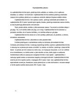 Referāts 'Uzņēmējdarbības dibināšanas brīvības un brīvas pakalpojumu kustības princips', 4.