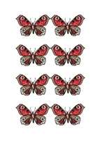 Konspekts 'Izvērsts stundas konspekts dabaszinībās 5.klasei', 12.