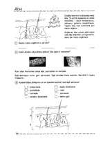 Konspekts 'Izvērsts stundas konspekts dabaszinībās 5.klasei', 14.