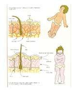 Konspekts 'Izvērsts stundas konspekts dabaszinībās 5.klasei', 22.