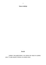 Konspekts 'Bērnu filosofija', 2.