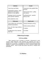 Biznesa plāns 'Biznesa plāns atpūtas namam "Viktorija"', 10.