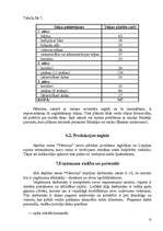 Biznesa plāns 'Biznesa plāns atpūtas namam "Viktorija"', 12.