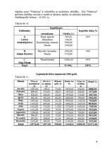 Biznesa plāns 'Biznesa plāns atpūtas namam "Viktorija"', 16.