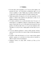 Biznesa plāns 'Pirts uz ūdens', 5.