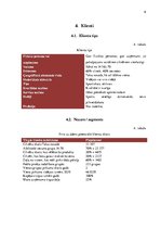 Biznesa plāns 'Pirts uz ūdens', 6.