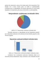 Referāts 'Uzņēmējdarbības vide Tērvetes novadā', 25.