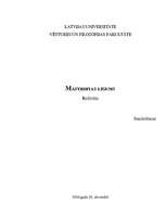 Referāts 'Māstrihtas līgums', 1.