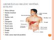 Prezentācija 'Gremošanas orgānu sistēma', 2.